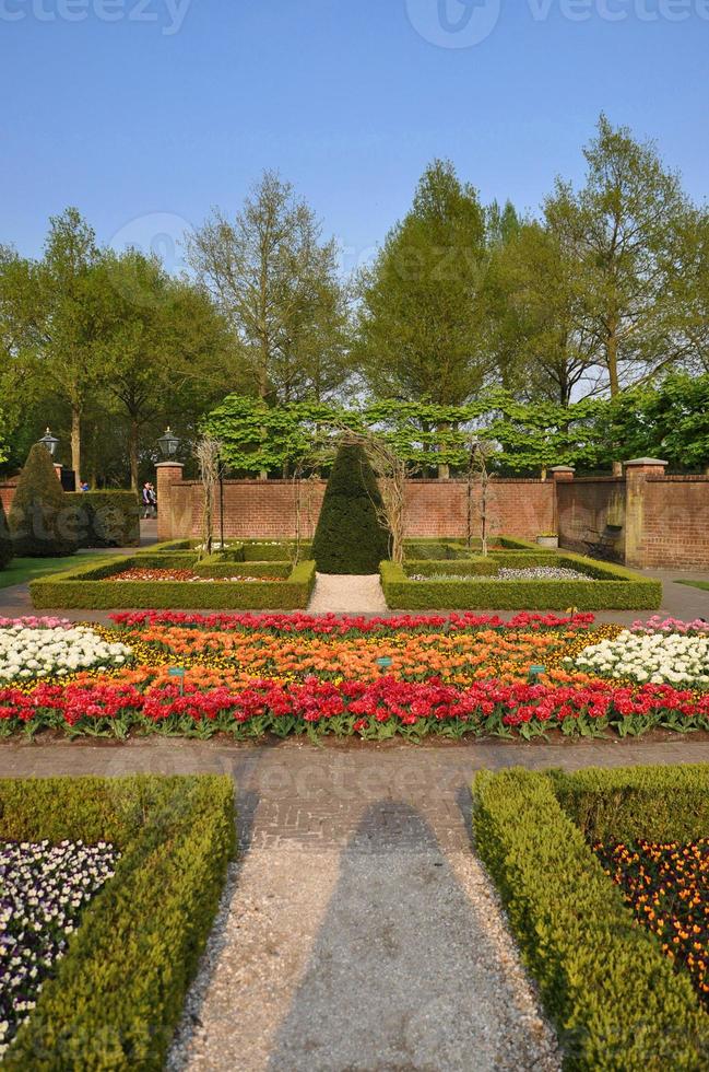 jardín con pequeños arbustos, tulipanes blancos, naranjas y rojos en el parque keukenhof en holanda foto