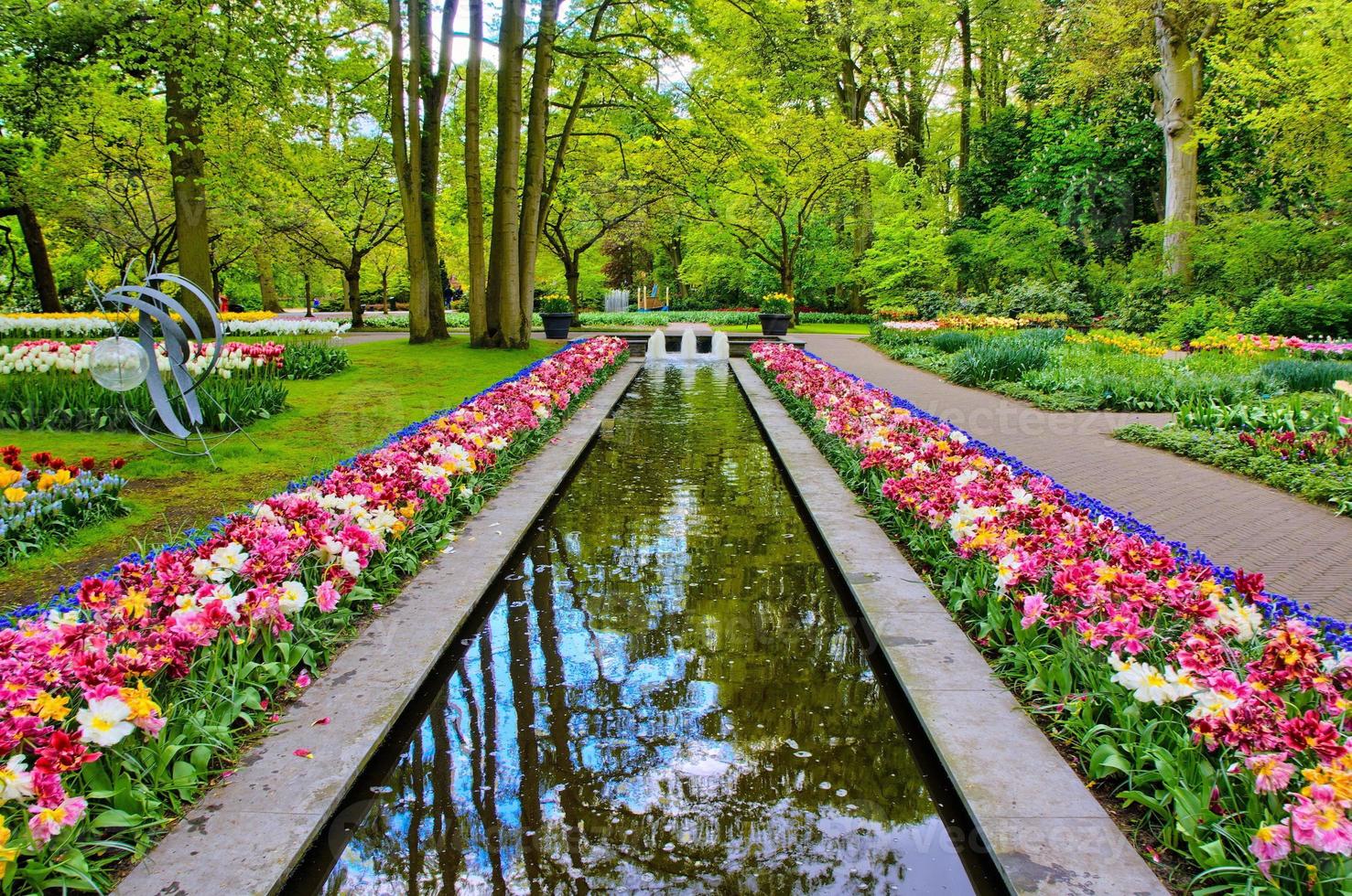 camino de agua rodeado de coloridos tulipanes, parque keukenhof, lisse en holanda foto