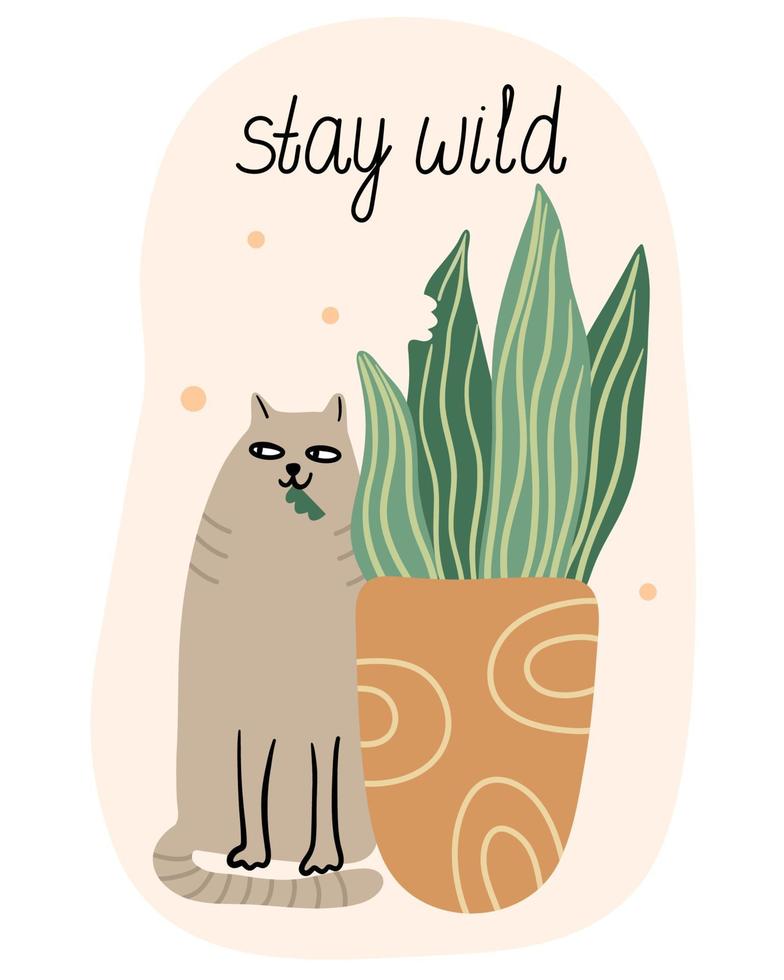 Stay wild. Card with a cat eating sansevieria houseplant in a flower pot. Flat style. Vector hand drawn illustration isolated on white background. Funny pet.