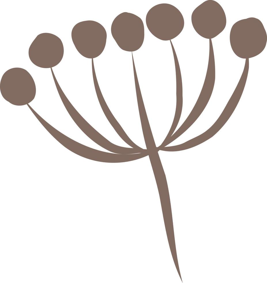 Floral elements, inflorescence. vector