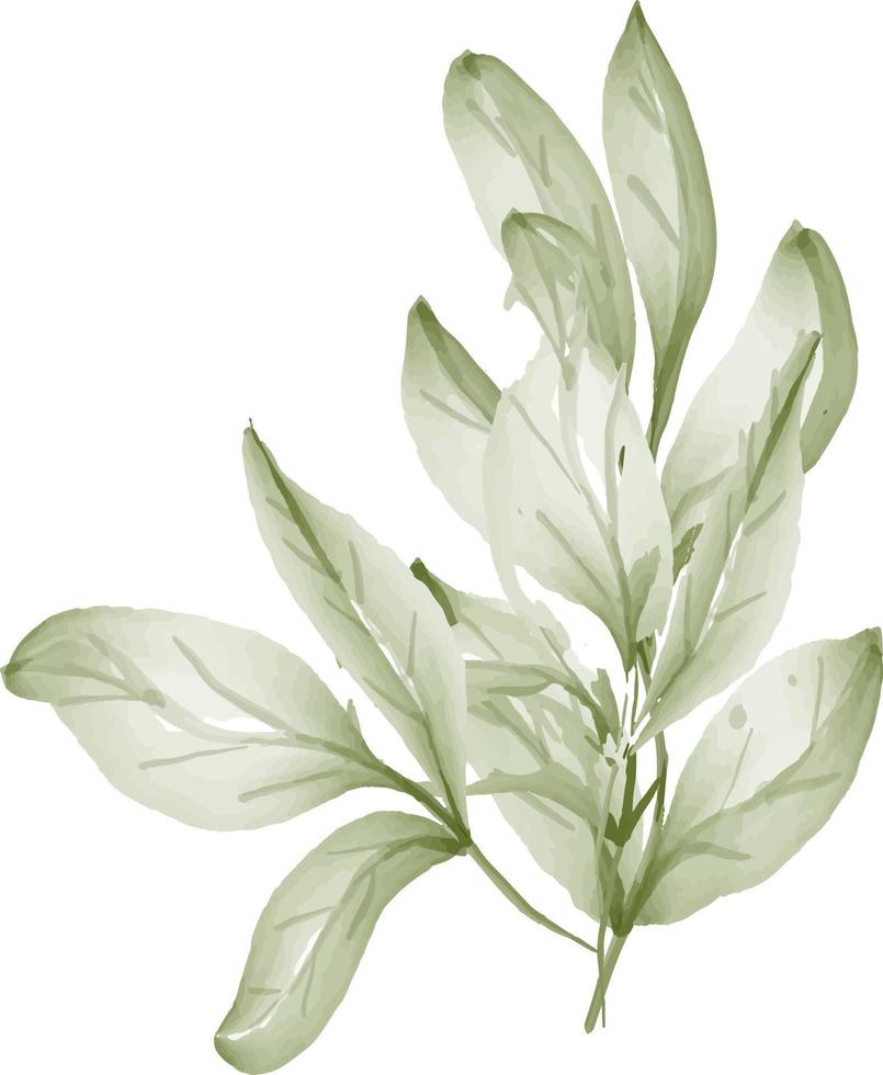 watercolor flowers and leaves for design. vector