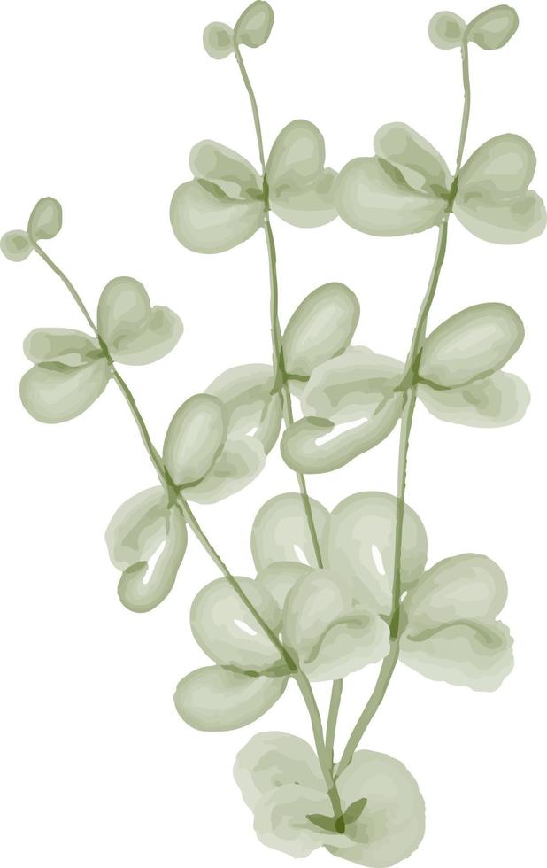 Watercolor leaves with flowers. vector