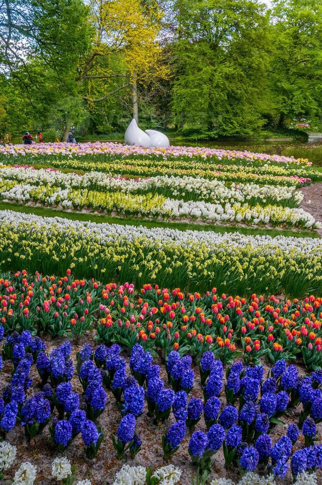 Drop monument with colorful daffodils and tulips, Keukenhof Park, Lisse in Holland photo