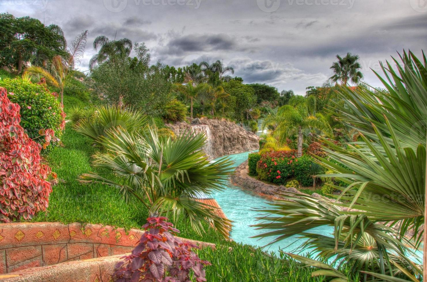 River in the park with palms, Tenerife, Canarian Islands photo