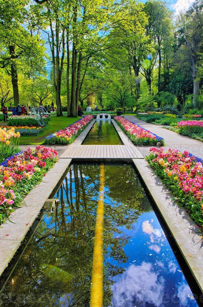 camino de agua rodeado de coloridos tulipanes, parque keukenhof, lisse en holanda foto