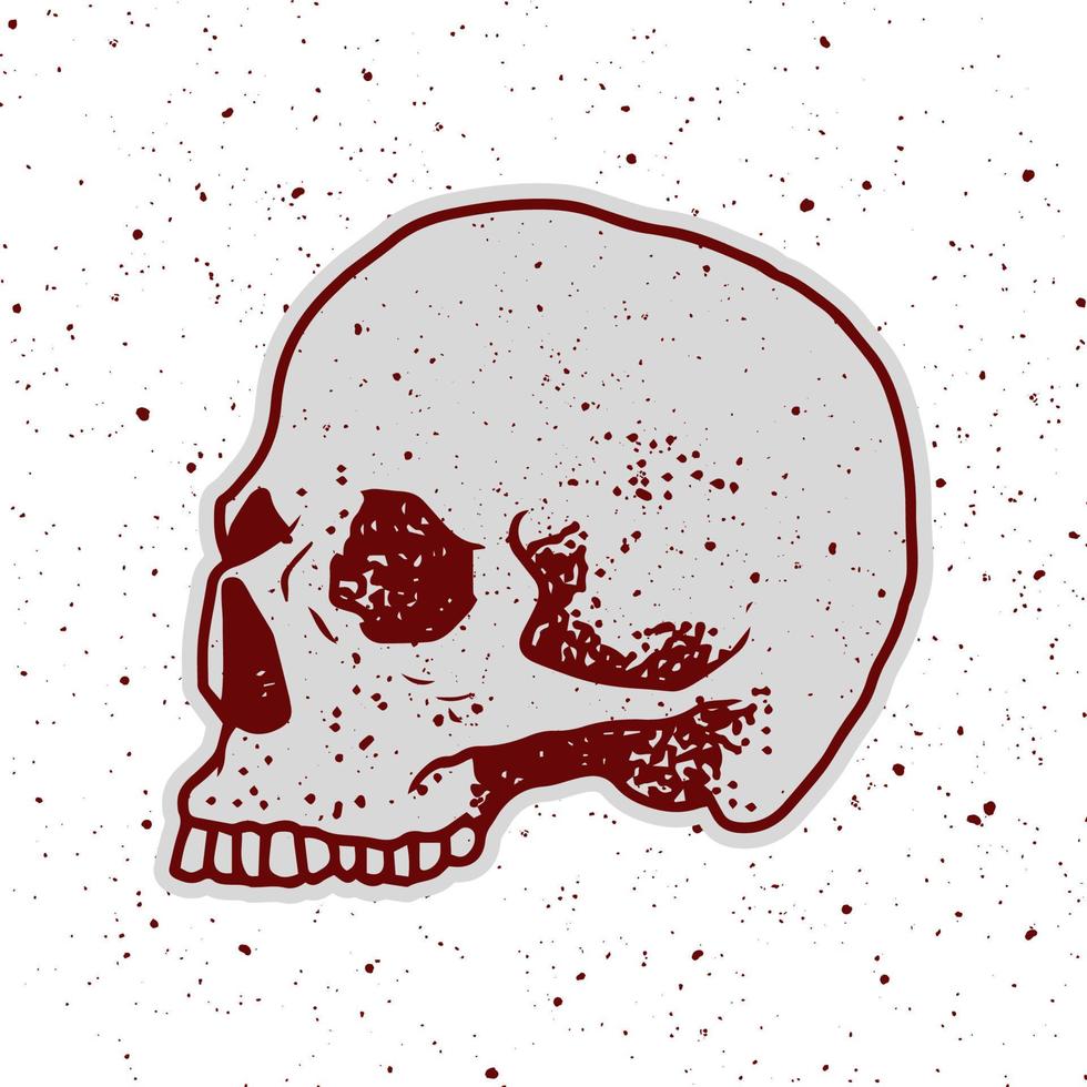 skull illustration with hand drawing style vector
