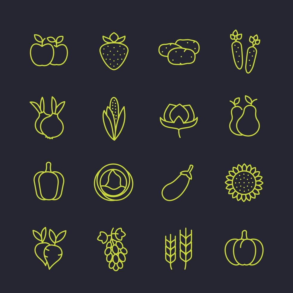 Harvest, vegetables, farming icons set, linear vector