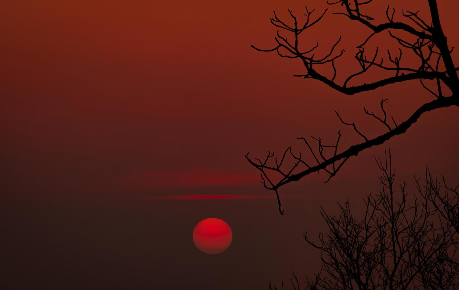 Beautiful silhouette leafless tree and red sunset sky. Romantic and peaceful scene of sun, and red sky at sunset time with beauty pattern of branch. Fall season with tranquil nature. Beauty in nature. photo