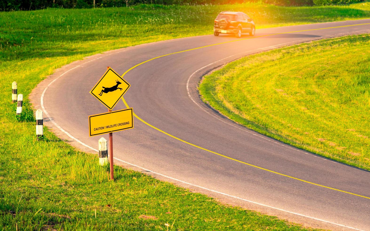 Black SUV car of the tourist driving with caution during travel at curve asphalt road near yellow traffic sign with deer jumping inside the sign and have message caution wildlife crossing photo