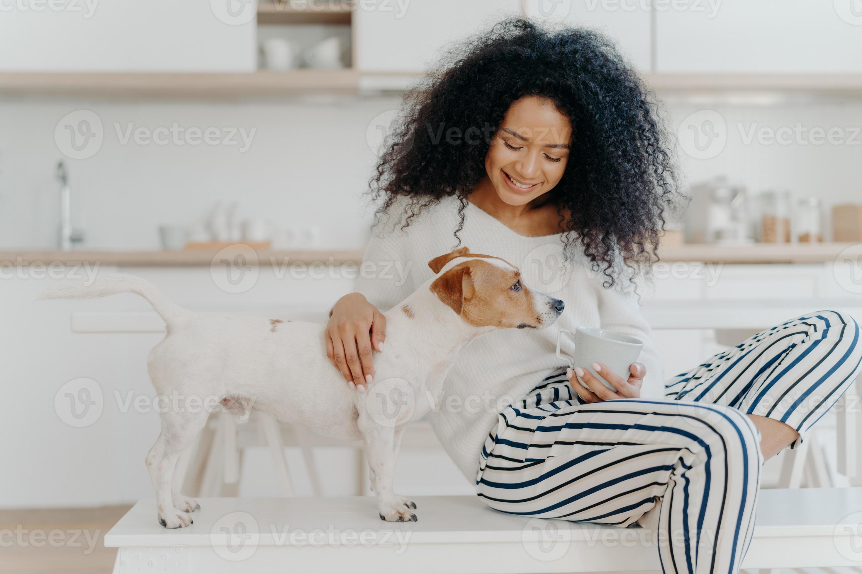 Shot of pleasant looking young woman focused down, plays with favourite dog, holds cup of drink, pose together in kitchen, express love, has free time. Relationship between people and animals 7789244 Stock Shot of pleasant looking young woman focused down, plays with favourite dog, holds cup of drink, pose together in kitchen, express love, has free time. Relationship between people and animals 7789244 Stock