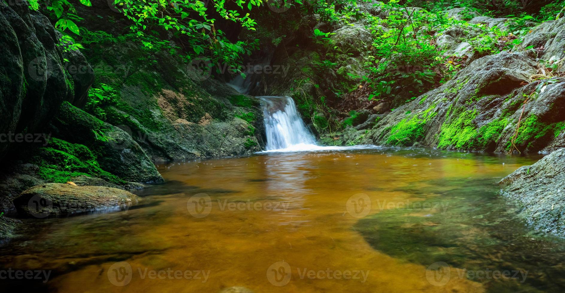 Selective focus green moss on rock surface at small waterfall in jungle. Waterfall in tropical forest with green plant and sunlight. Waterfall is flowing in jungle. Nature background. Water body. photo