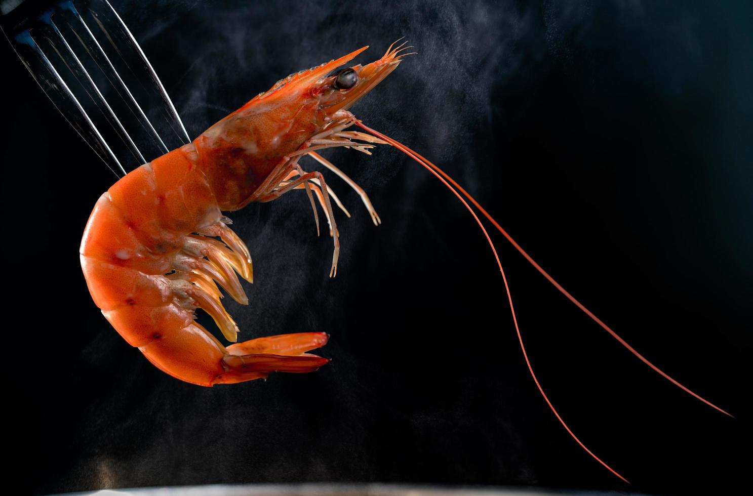 camarones al vapor en tenedor aislado sobre fondo oscuro con espacio de copia. buffet de mariscos en concepto de restaurante. uso para publicidad de promociones de buffet de mariscos foto