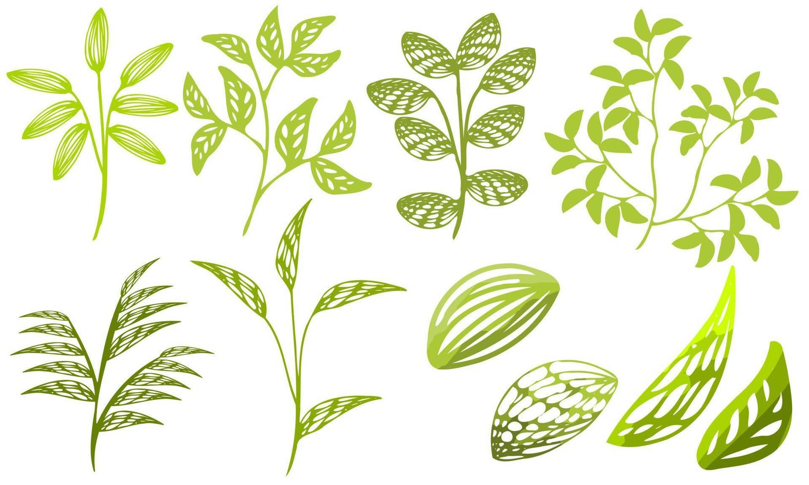 bush drawing green leaves set, herbs set vector free