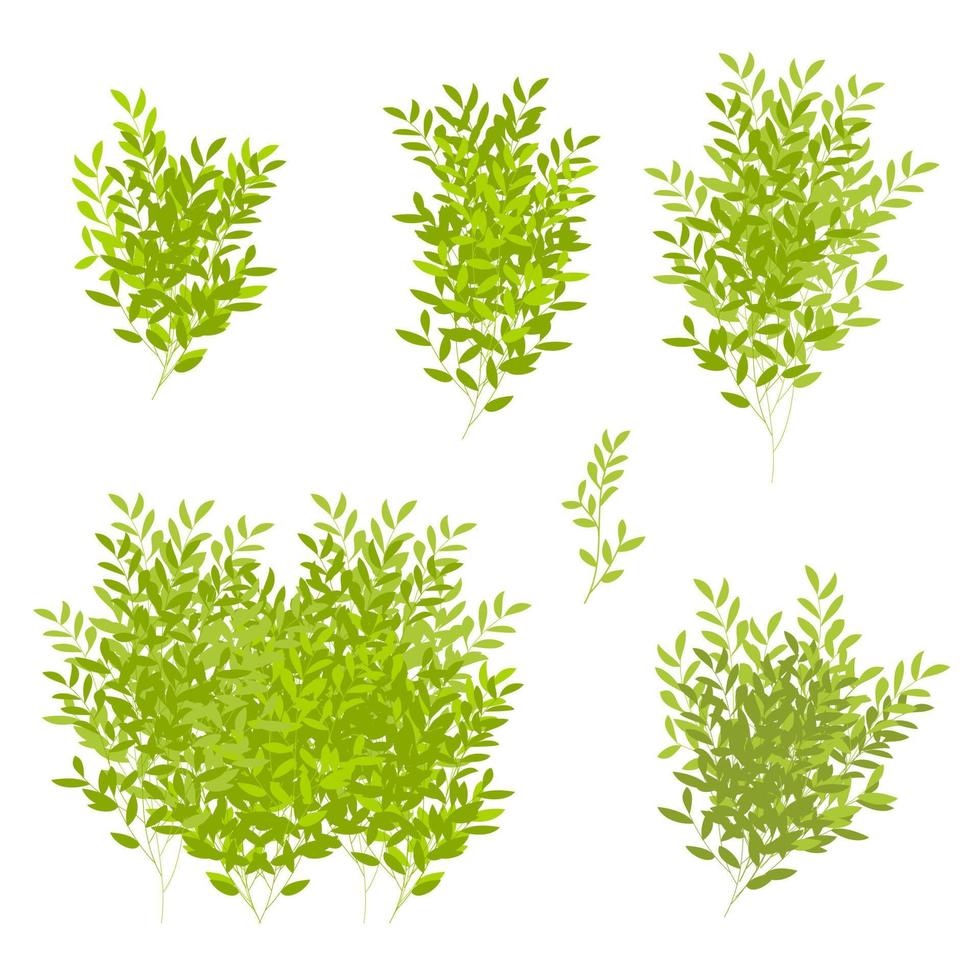 tree bush vector