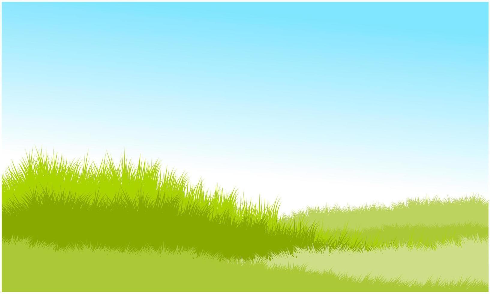 grassy hill, grassy field with blue sky background vector