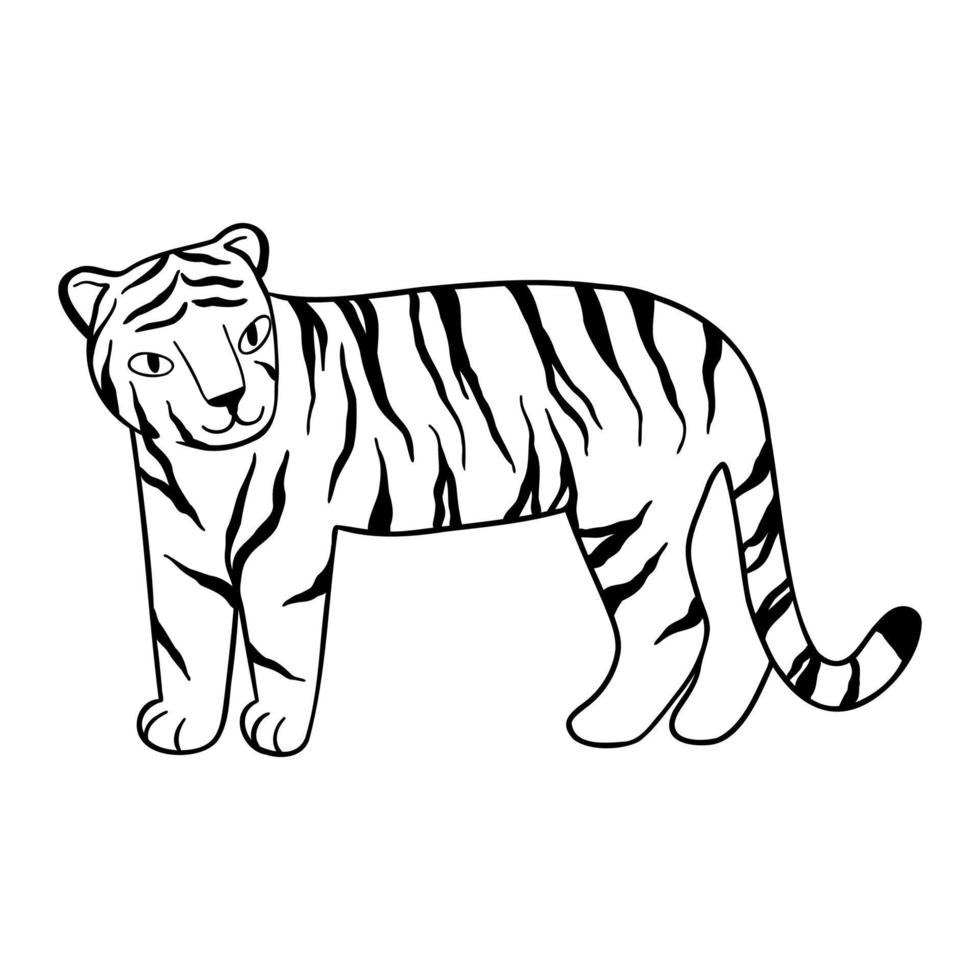 doodle tiger stands, hand-drawn. cute chinese tiger drawn with black lines. vector illustration isolated on white background
