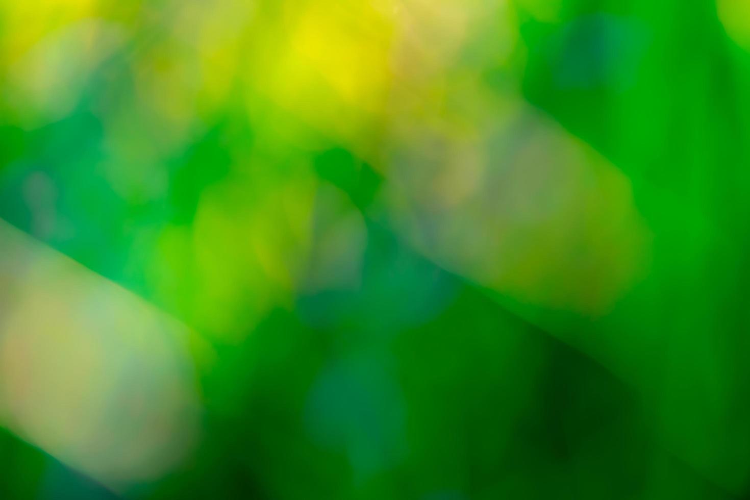 campo de hierba verde fresca borrosa temprano en la mañana. licencia verde con fondo bokeh en primavera. fondo de la naturaleza. Ambiente limpio. fondo abstracto verde bokeh con luz solar matutina. foto