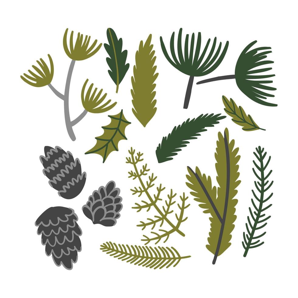 set with winter plants in flat style. spruce twigs, cones, leaves for decoration. vector illustration isolated on white background.