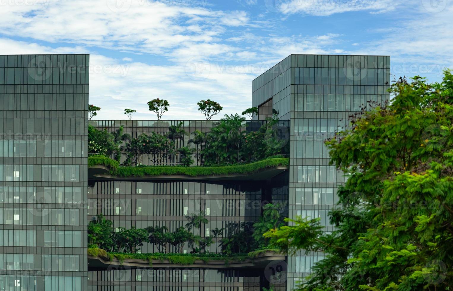 Eco friendly glass building with vertical garden in modern city. Green plant and tree forest and ivy on facade on sustainable building. Energy saving architecture with vertical garden.  Modern design. photo
