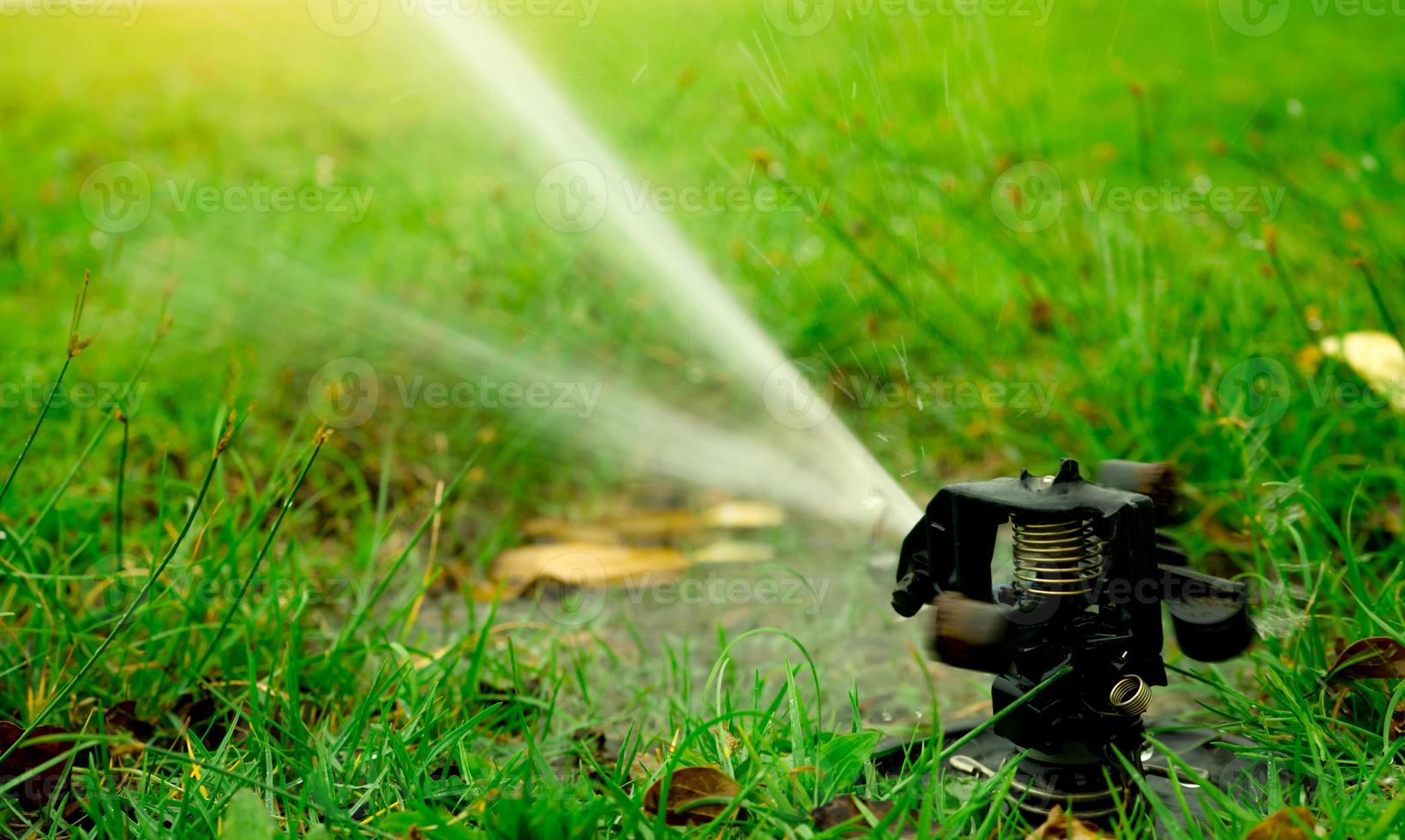 Automatic lawn sprinkler watering green grass. Garden, yard irrigation system watering lawn. Water saving or conservation from sprinkler system. Turf farm business. Sprinkler service and maintenance. photo