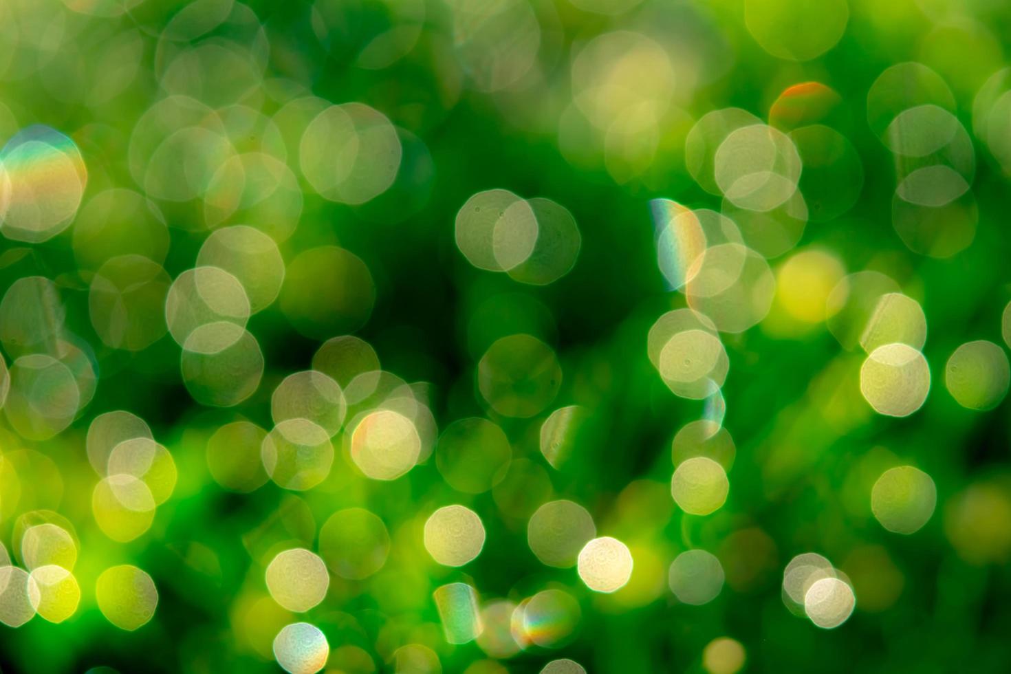 Blurred fresh green grass field in the early morning. Green grass with bokeh background in spring. Nature background. Clean environment. Green bokeh abstract background with sun light. photo