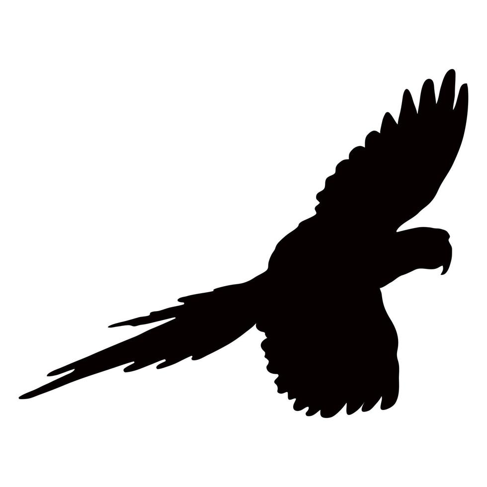 silueta negra de un loro sobre un fondo blanco. imagen vectorial vector