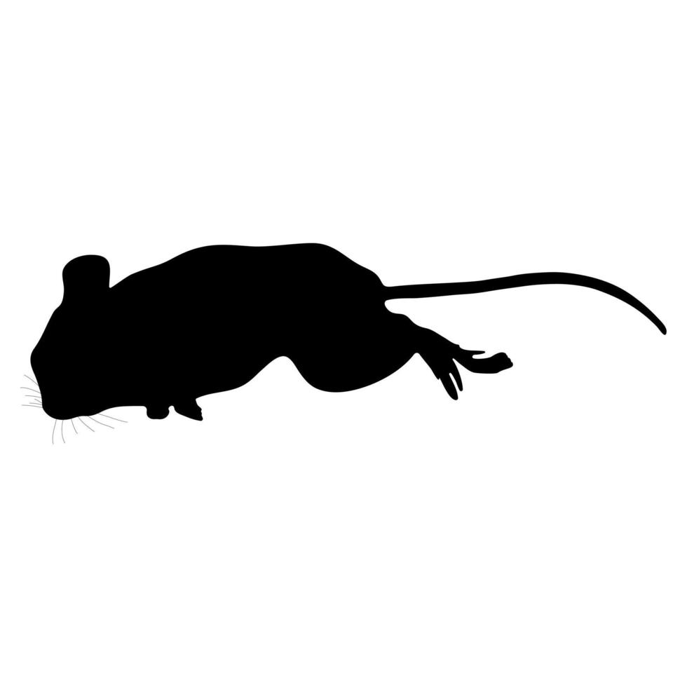 Black silhouette of a mouse on a white background. Vector image.