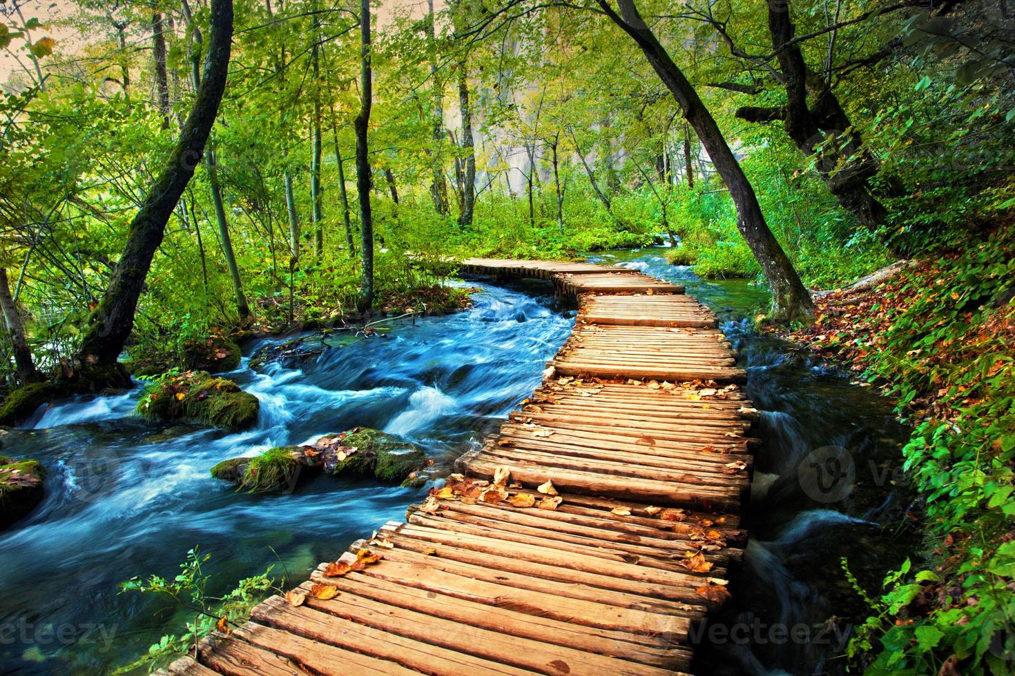 Deep forest stream. Crystal clear water. photo