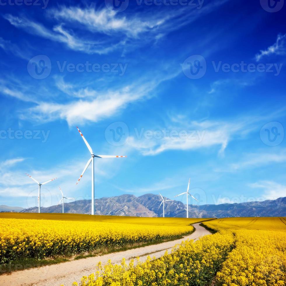 Wind turbines on spring field. Alternative, clean and natural source of energy photo