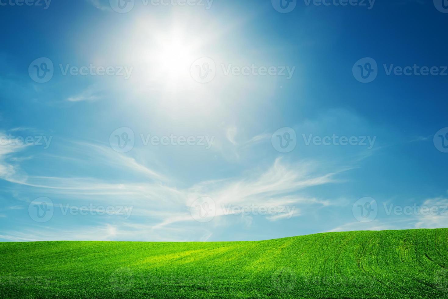 campo de primavera de hierba verde. cielo azul soleado foto