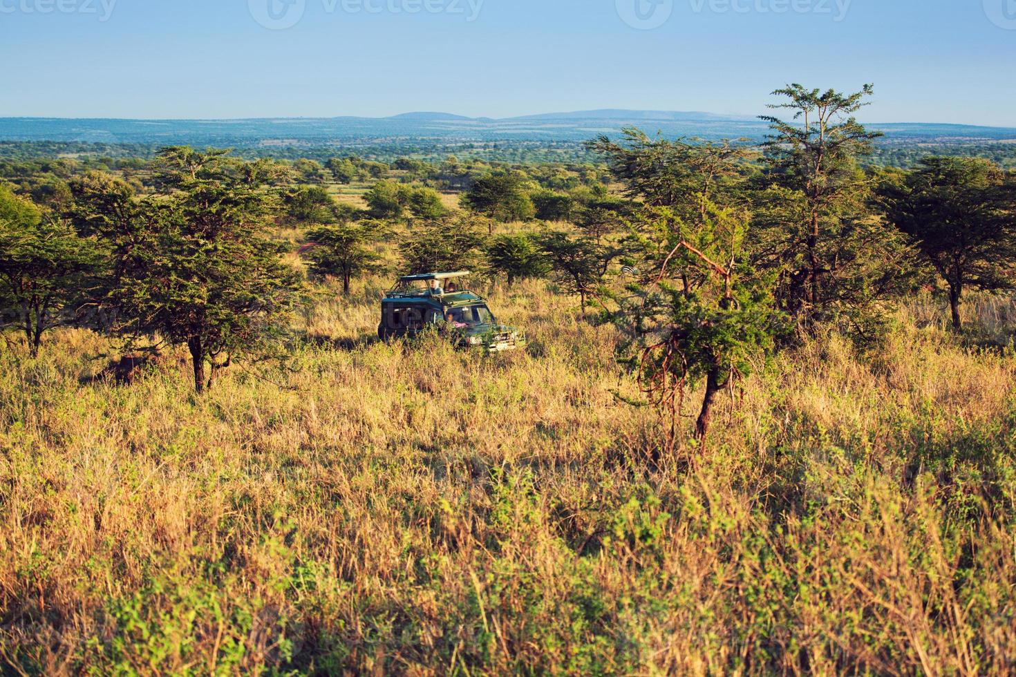 Jeep with tourists on safari in Serengeti, Tanzania, Africa. photo