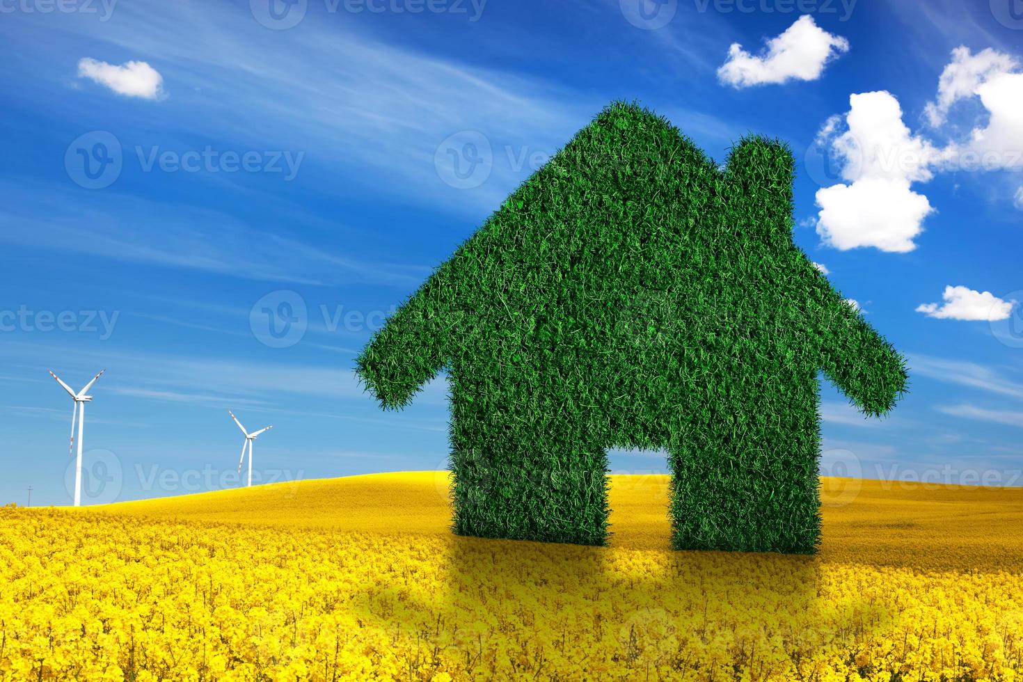 Green, ecological house, real estate concept photo