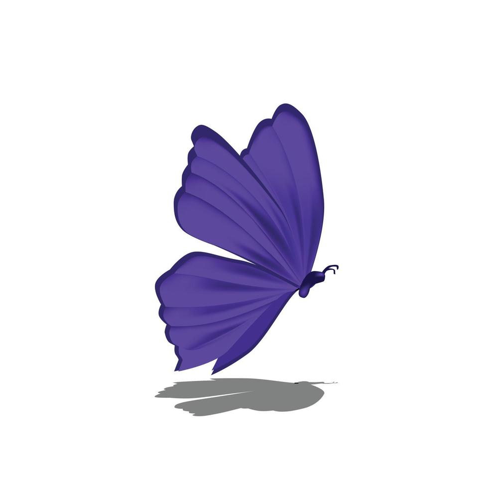 Vector of a purple butterfly isolated on a white background.