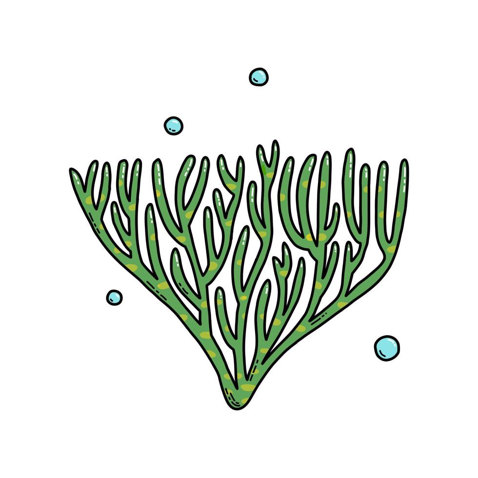 Сute Doodle Cartoon Sea Algae. Vector Illustration. Royalty Free SVG,  Cliparts, Vectors, and Stock Illustration. Image 185692411.