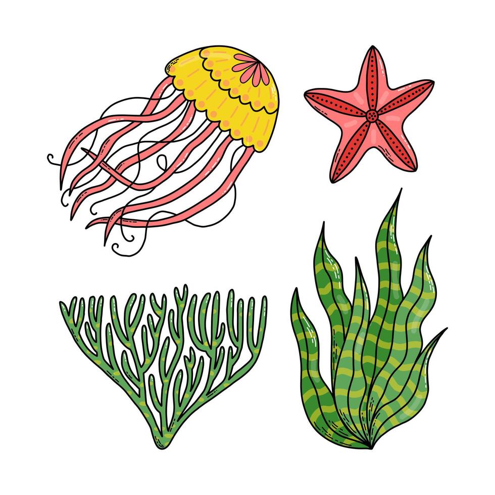 Set cute doodle cartoon sea jellyfish, starfish, algae. Vector illustration.