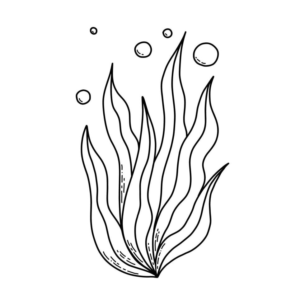 Cute doodle sea algae. Coloring page for kids. Vector illustration.
