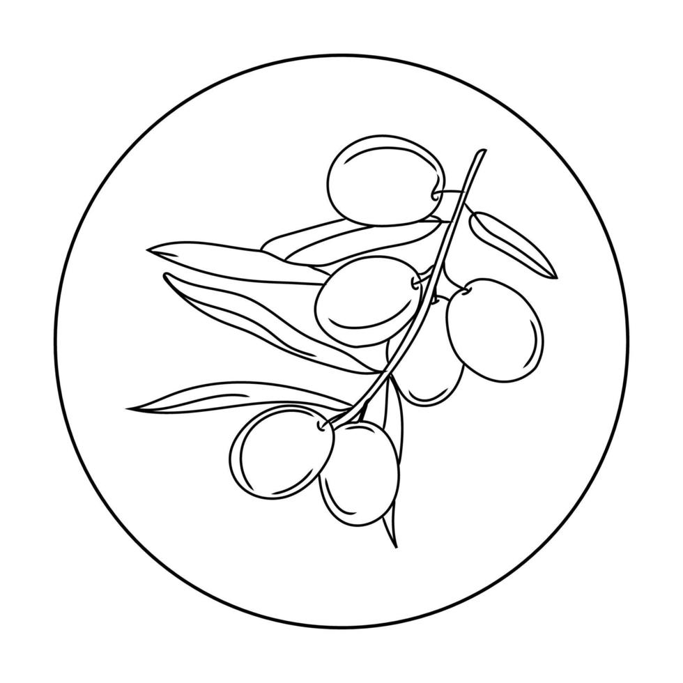 Olive branch vector line art icon isolated on white background. Minimalist black linear sketch. plant leaf sign. Fresh organic vegetable. business concept.