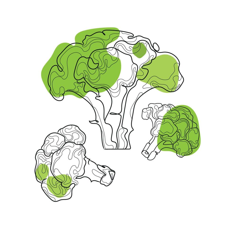 arte de línea abstracta de brócoli verde sobre fondo blanco. ilustración de vector de verduras de alimentos de fideos sobre fondo blanco. dibujo de boceto de ilustración de mercado de granja orgánica de naturaleza vegana