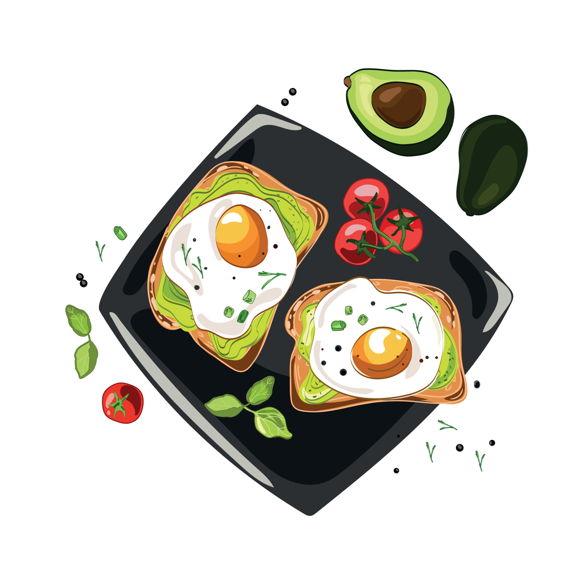 Avocado egg sandwich with whole grain bread on plate top view,vector
