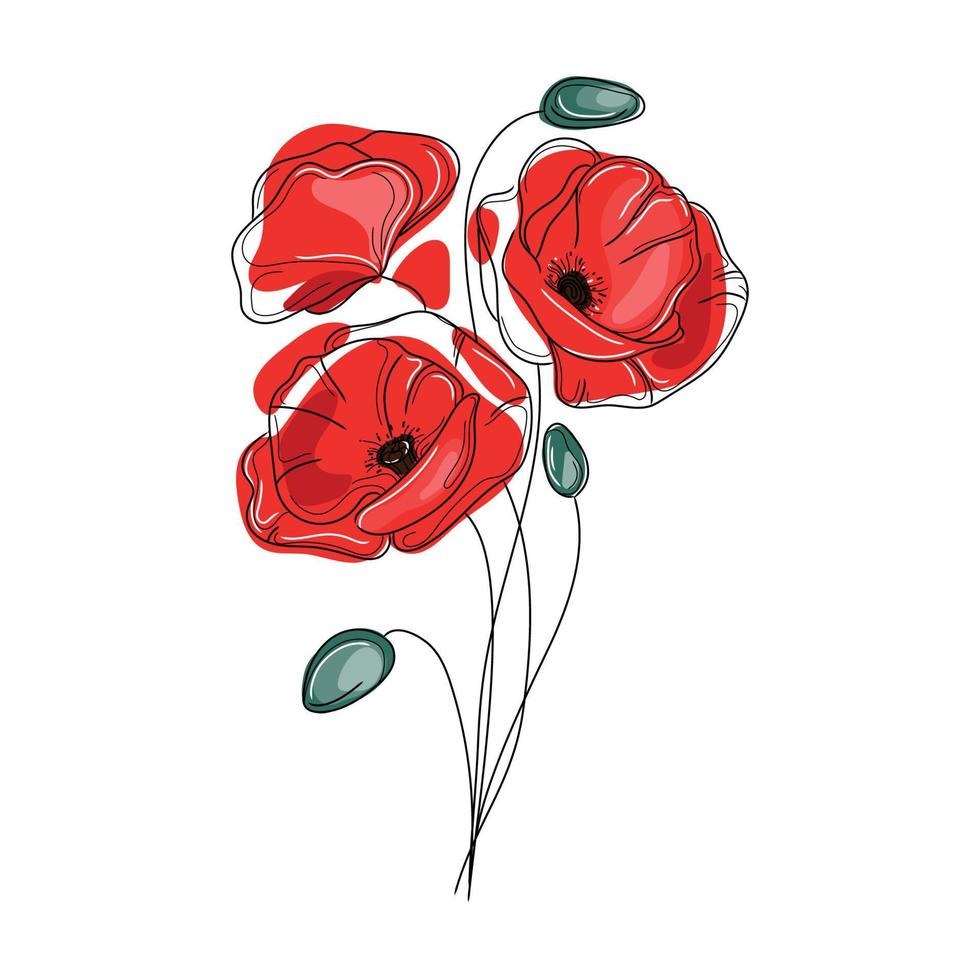 Abstract red poppies flowers vector illustration.Poppies drawing isolated on white background line art color image,botanical design element for print and other use