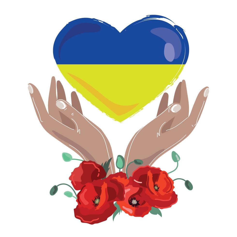 Ukraine for peace concept.Heart of Ukraine flag colors in hands and with red flowers poppies,Ukraine symbol on white background,vector illustration.Save Ukraine.Stop war vector