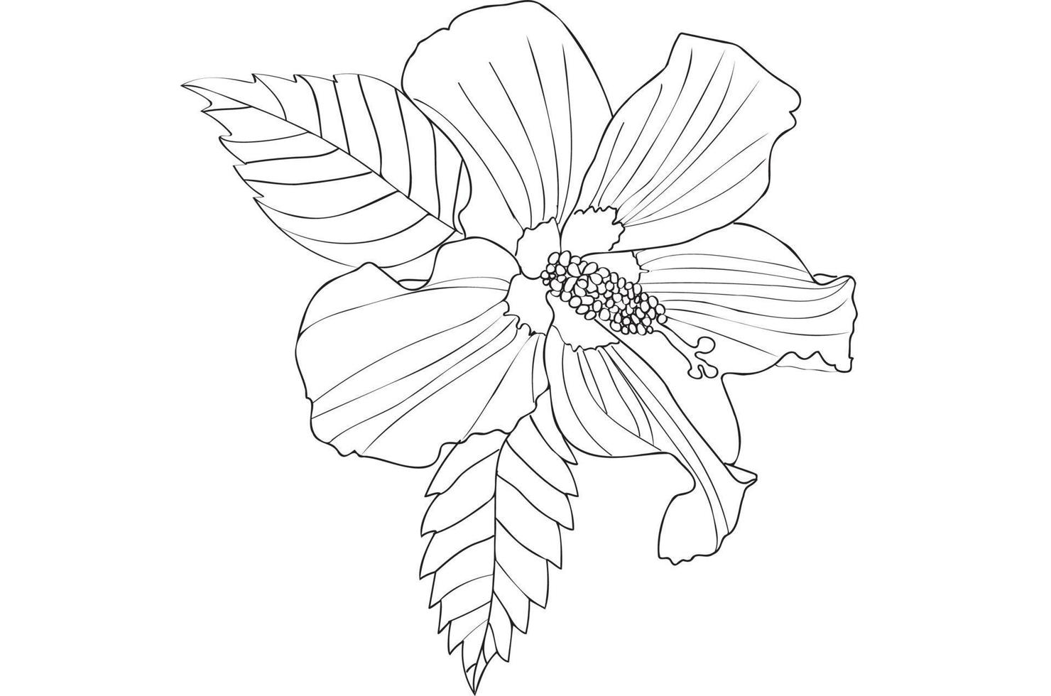 flor de hibisco con hojas, pintada en blanco y negro, diseñada para postales y otros vector