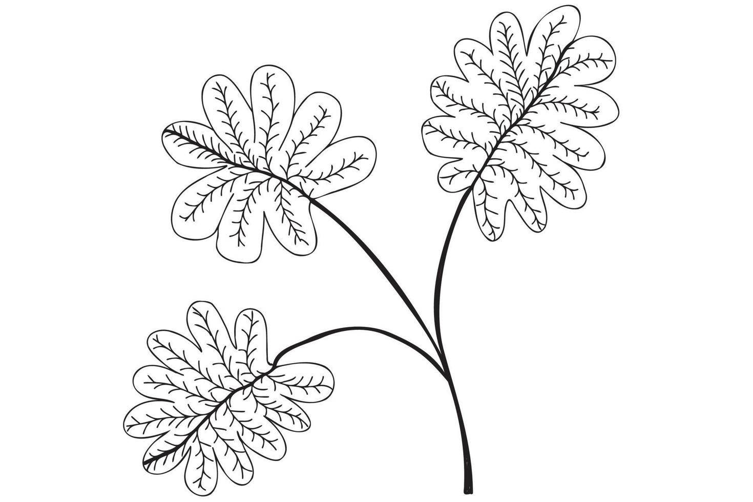 Black oak leaf illustration. Black outline, line art vector illustration with black thin line isolated on white background.