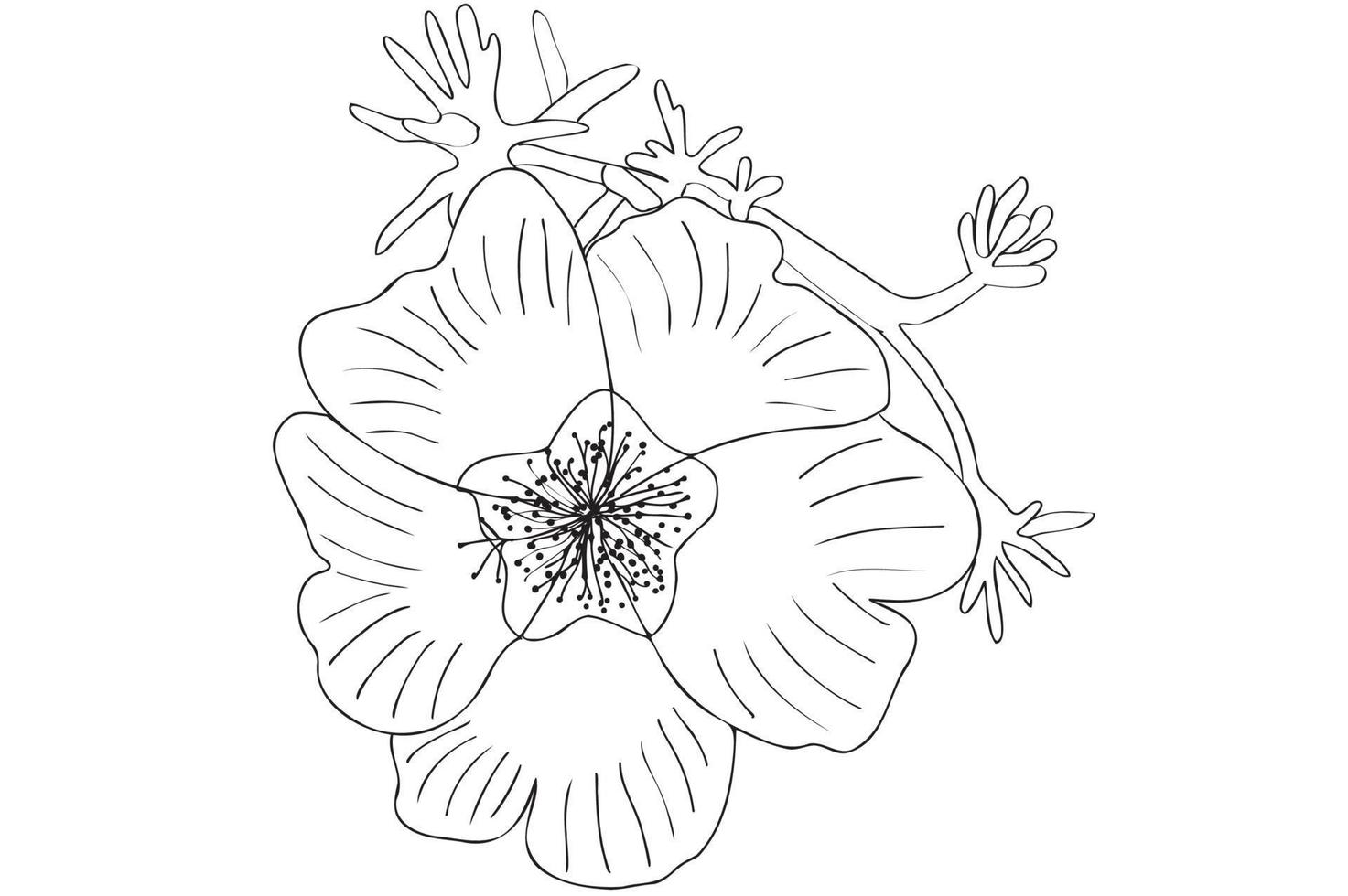 flor vectorial en blanco y negro, arte de línea, ilustración de flor de contorno, dibujo floral con línea de contorno delgada negra aislada en fondo blanco. vector