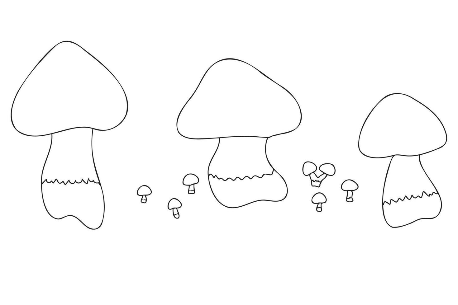 Mushrooms painted in white on black, intended for printing postcards vector