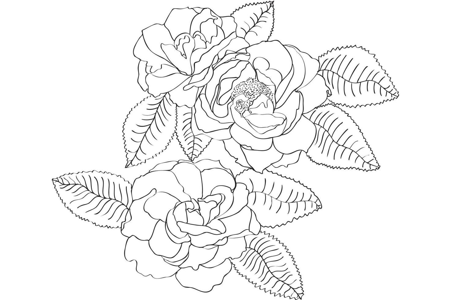 Roses with leaves black and white, intended for postcards, March 8, for Valentine vector