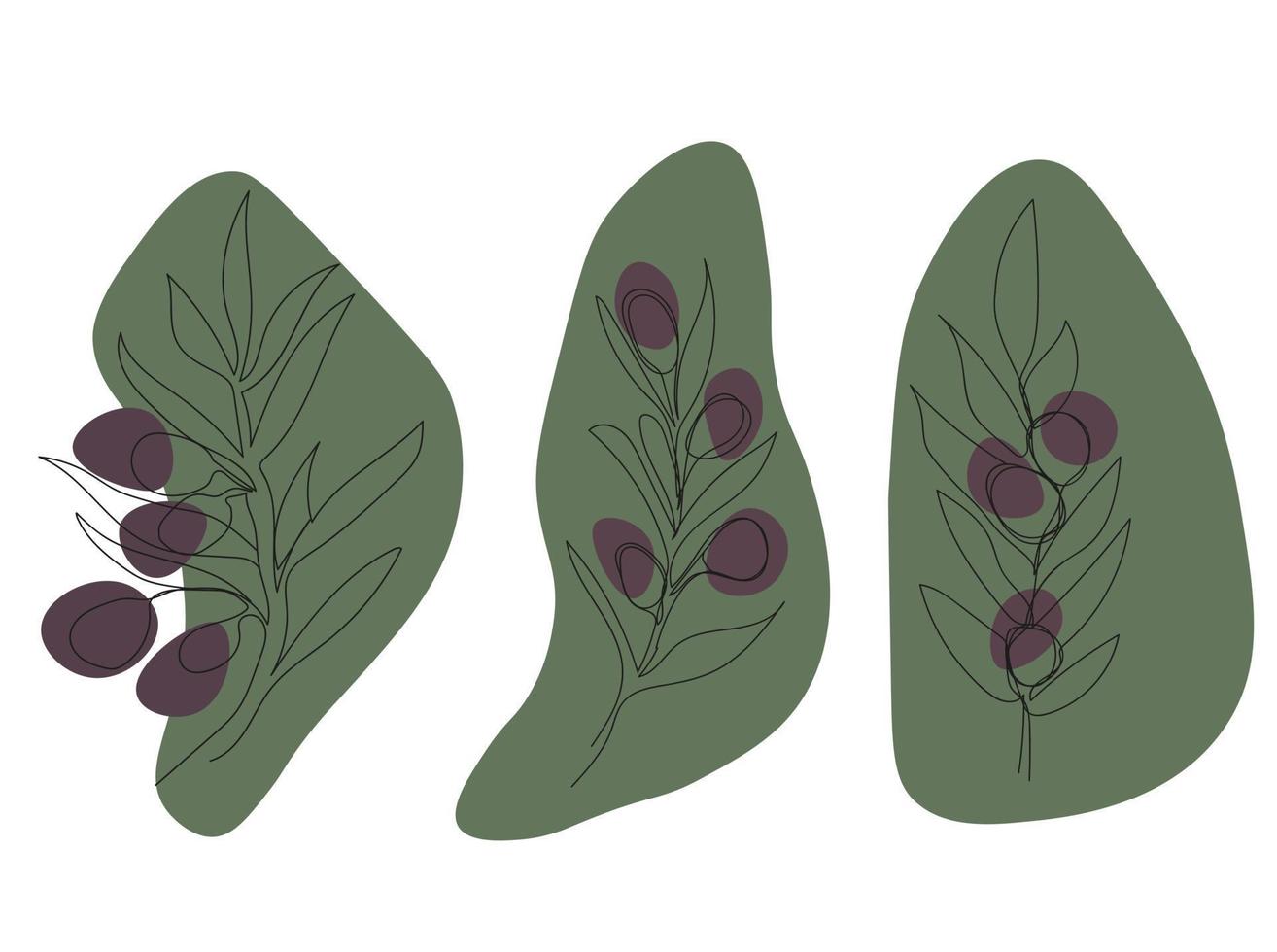 set of olive branches vector