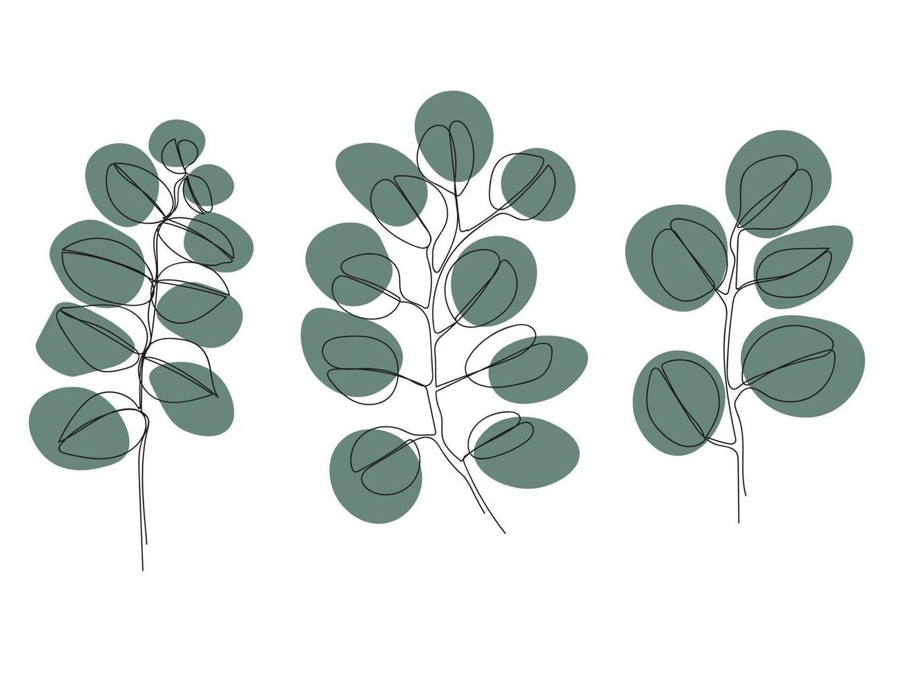 vector eucalyptus set