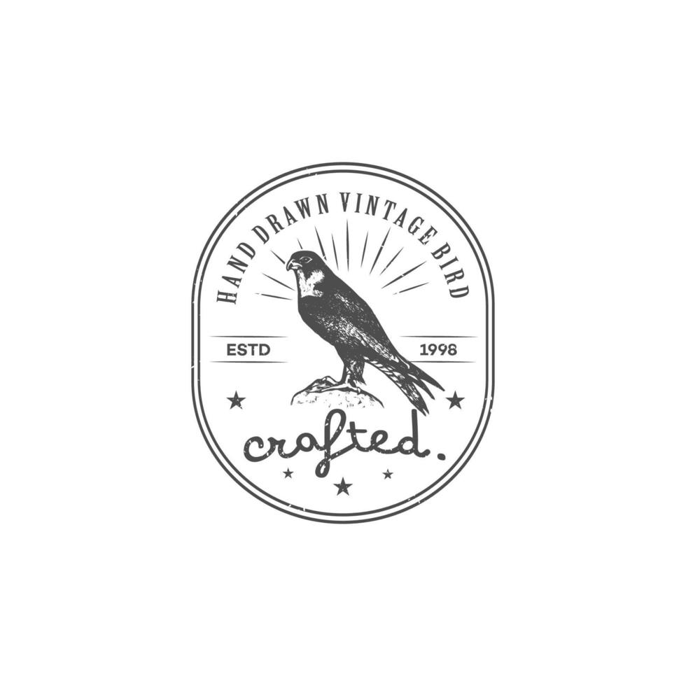 Hand drawn hawk logo design. Professional vintage style and strong design concept. vector