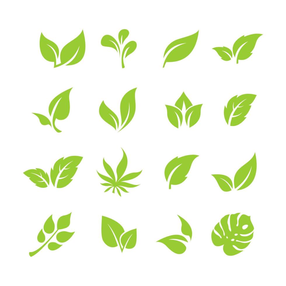 Simple flat green leaf design vector The concept of forest preservation by using natural products